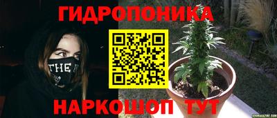 Альфа ПВП Обнинск