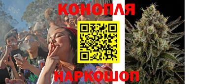 spice Обь