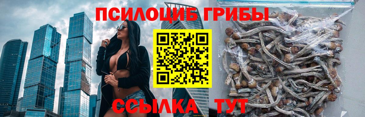Томск  Псилоцибиновые грибы прущие грибы  Вход с VPN 